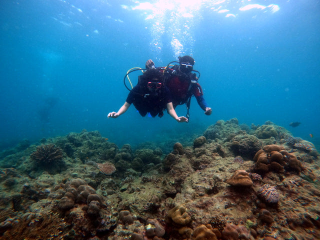 Shore Snorkeling at Nemo Reef by Blue Corals