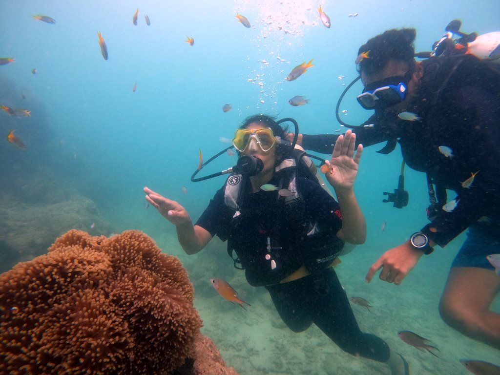 Shore Snorkeling at Nemo Reef by Blue Corals