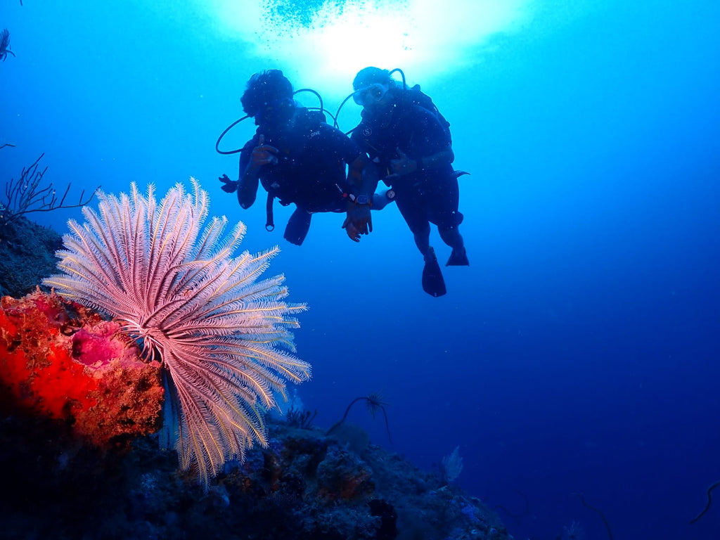 Shore Try Dive by Continental