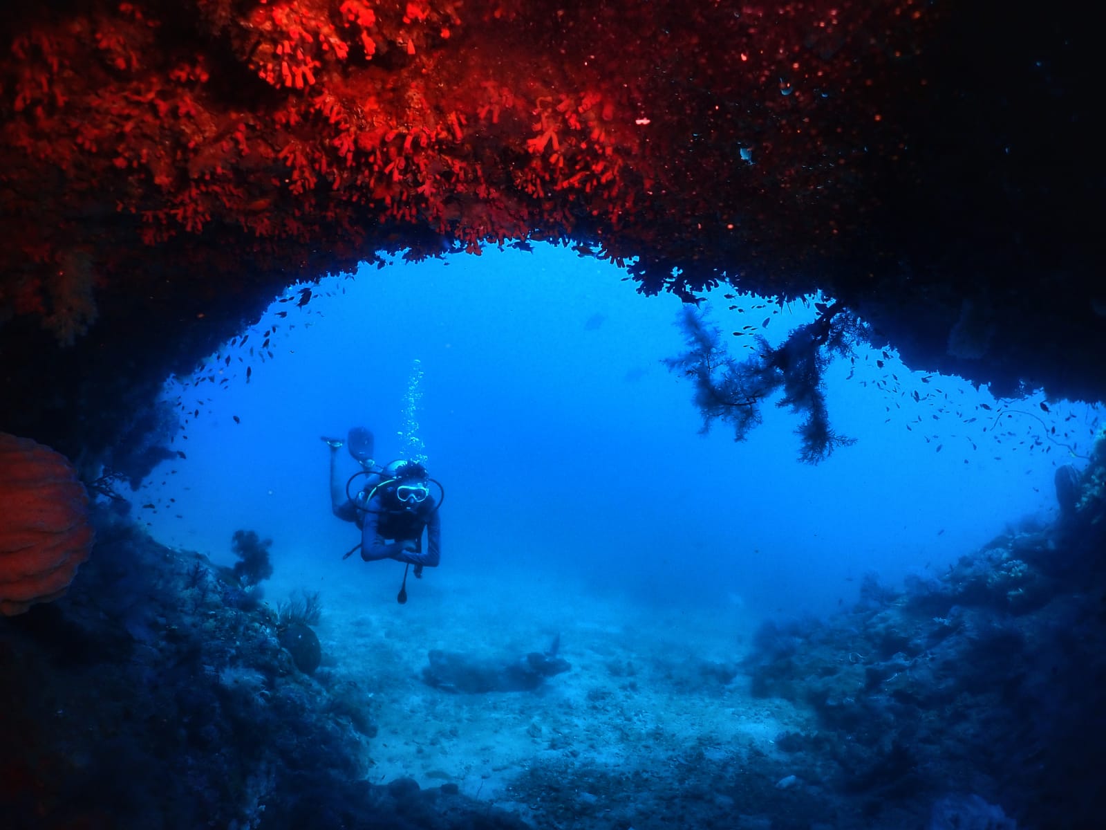 Shore Try Dive by Continental