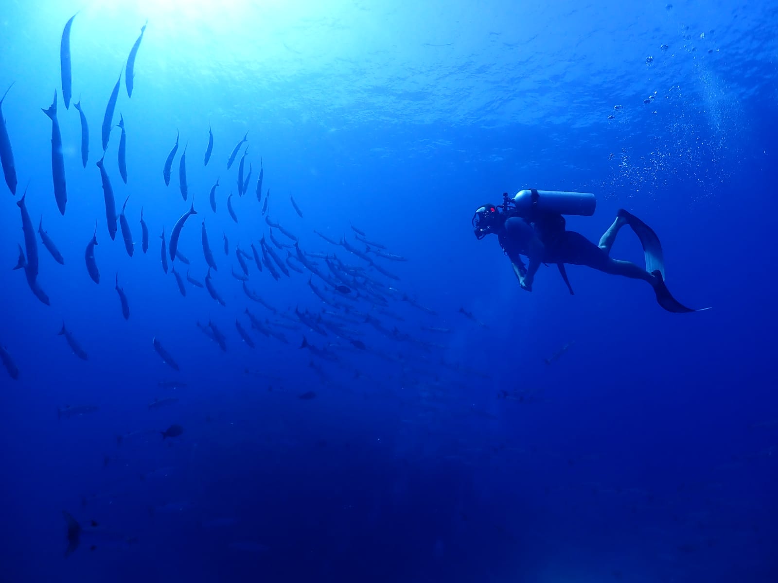 Shore Try Dive by Continental