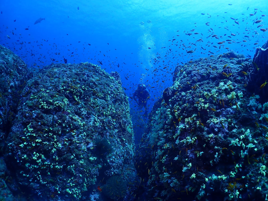 Shore Try Dive by Continental