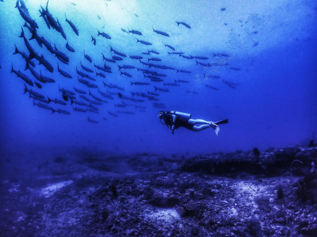 Shore Try Dive by Continental