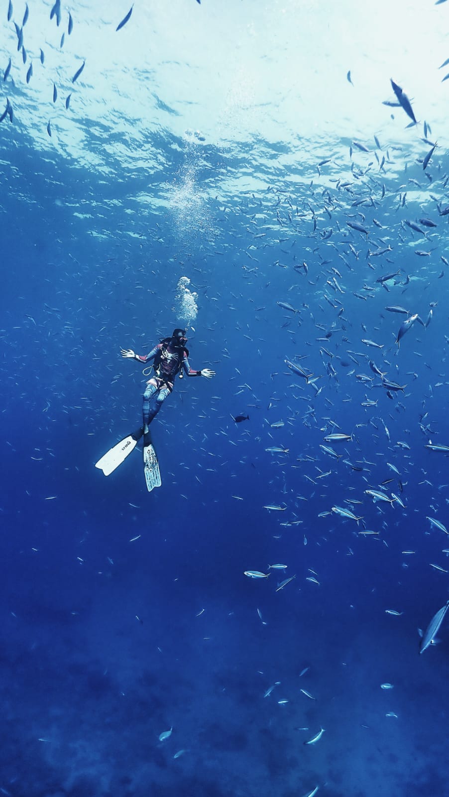 Boat Try Dive by Continental