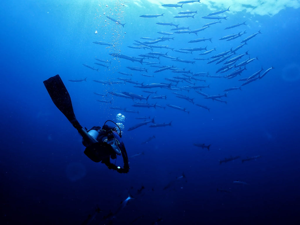 Shore Try Dive by Continental