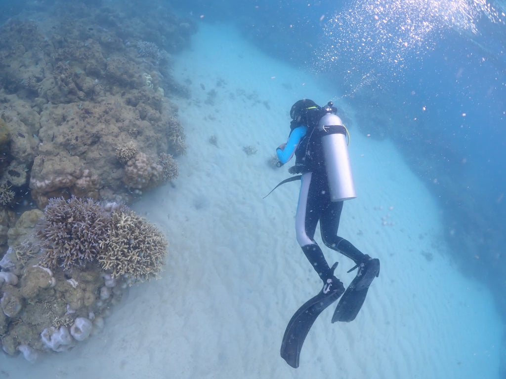 Shore Try Dive by Continental