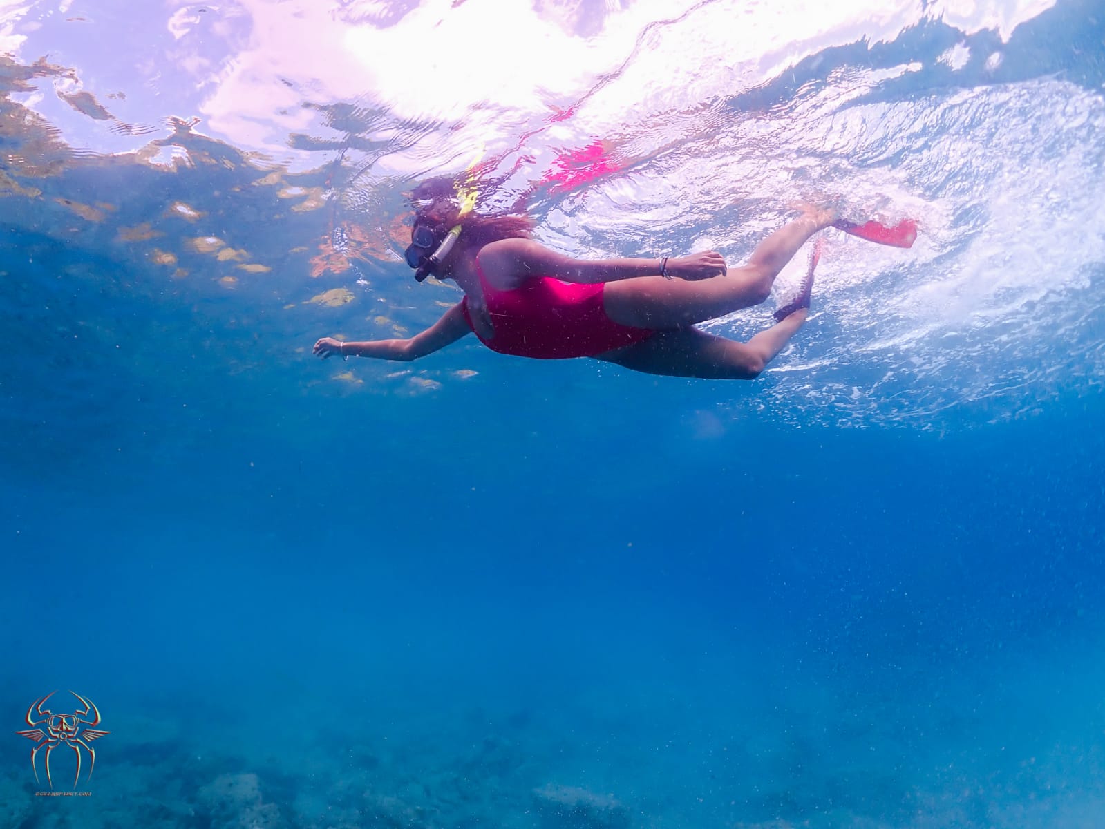 Shore Snorkeling by Continental