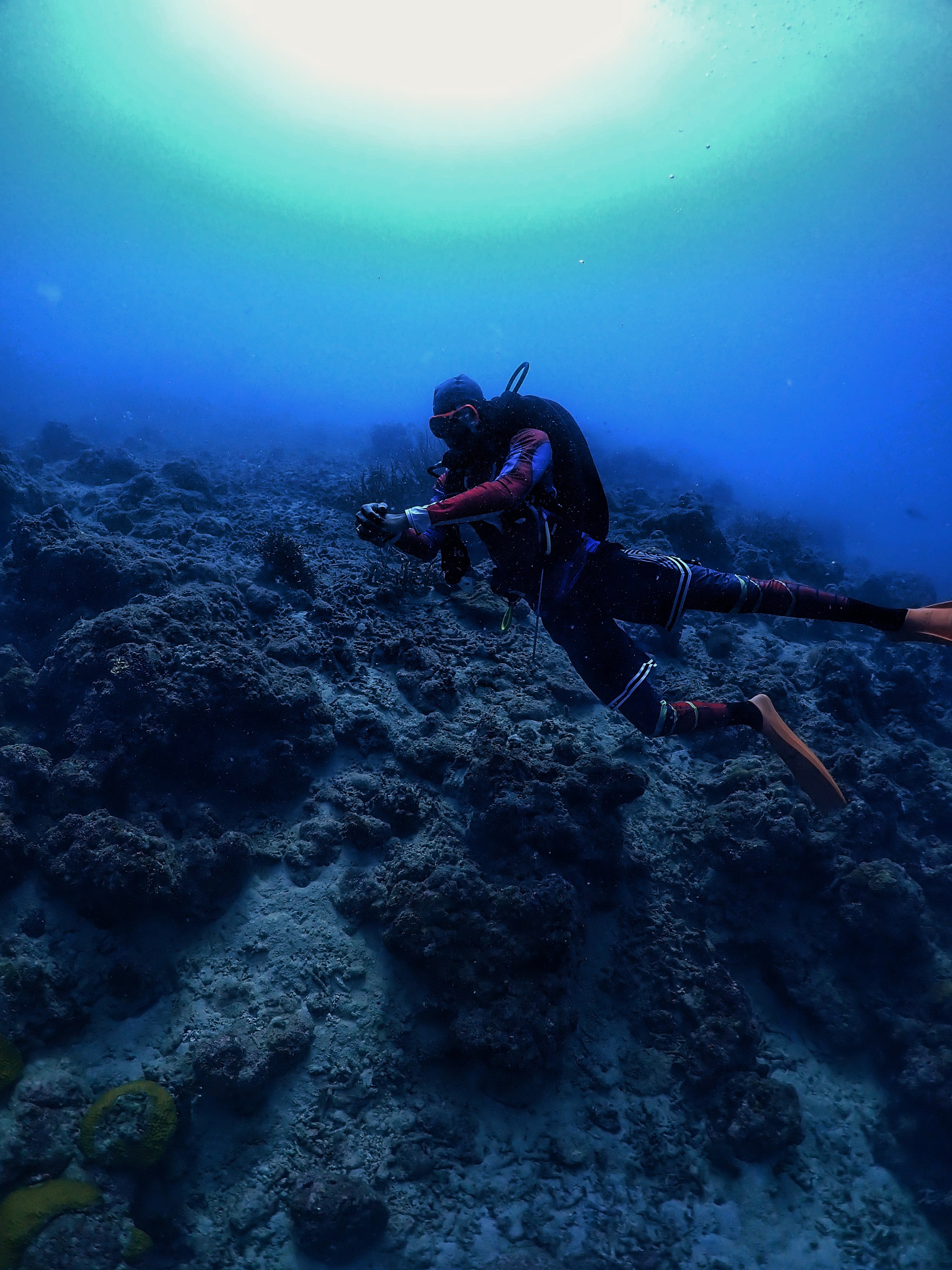 Boat Try Dive by Continental