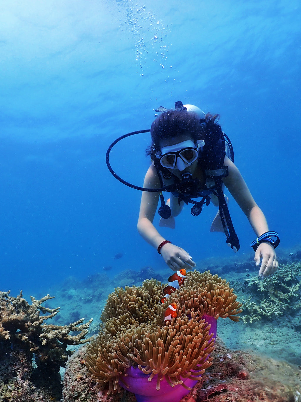 Boat Try Dive by Continental