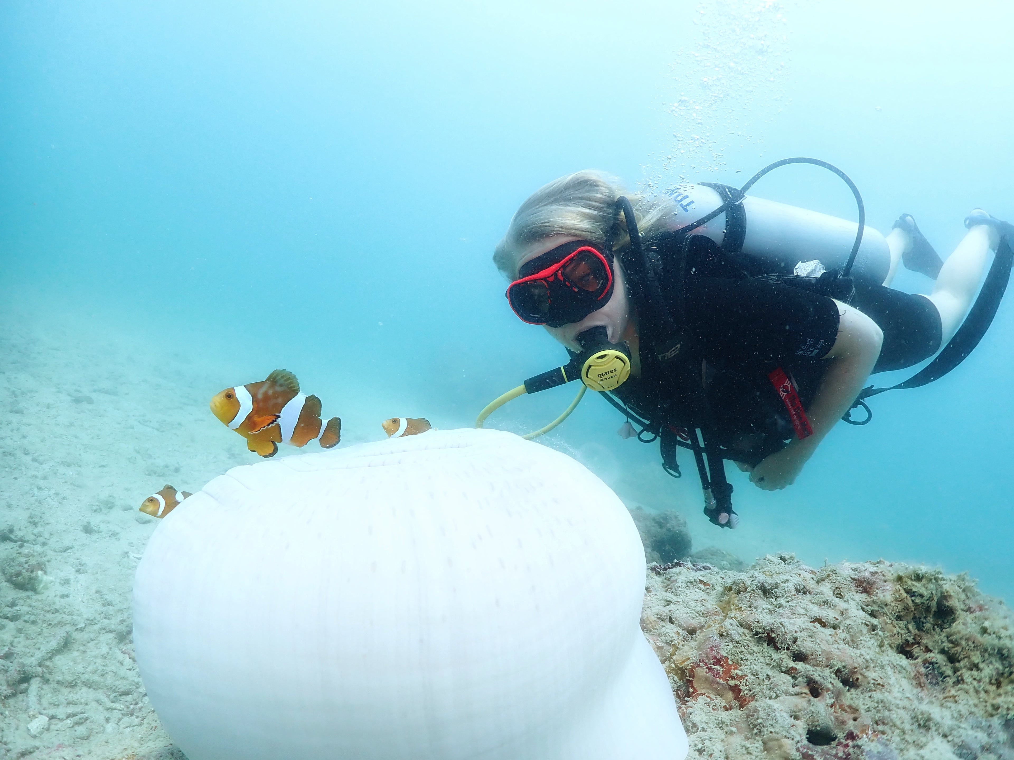 Boat Try Dive by Continental