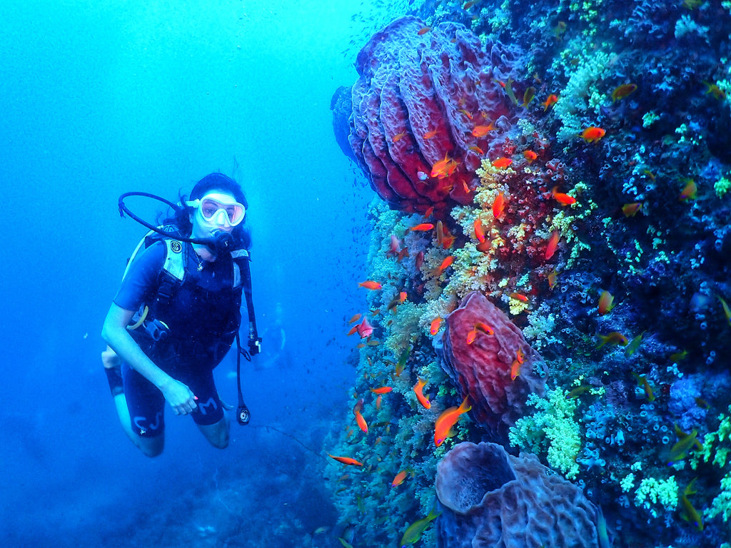 Boat Try Dive by Continental