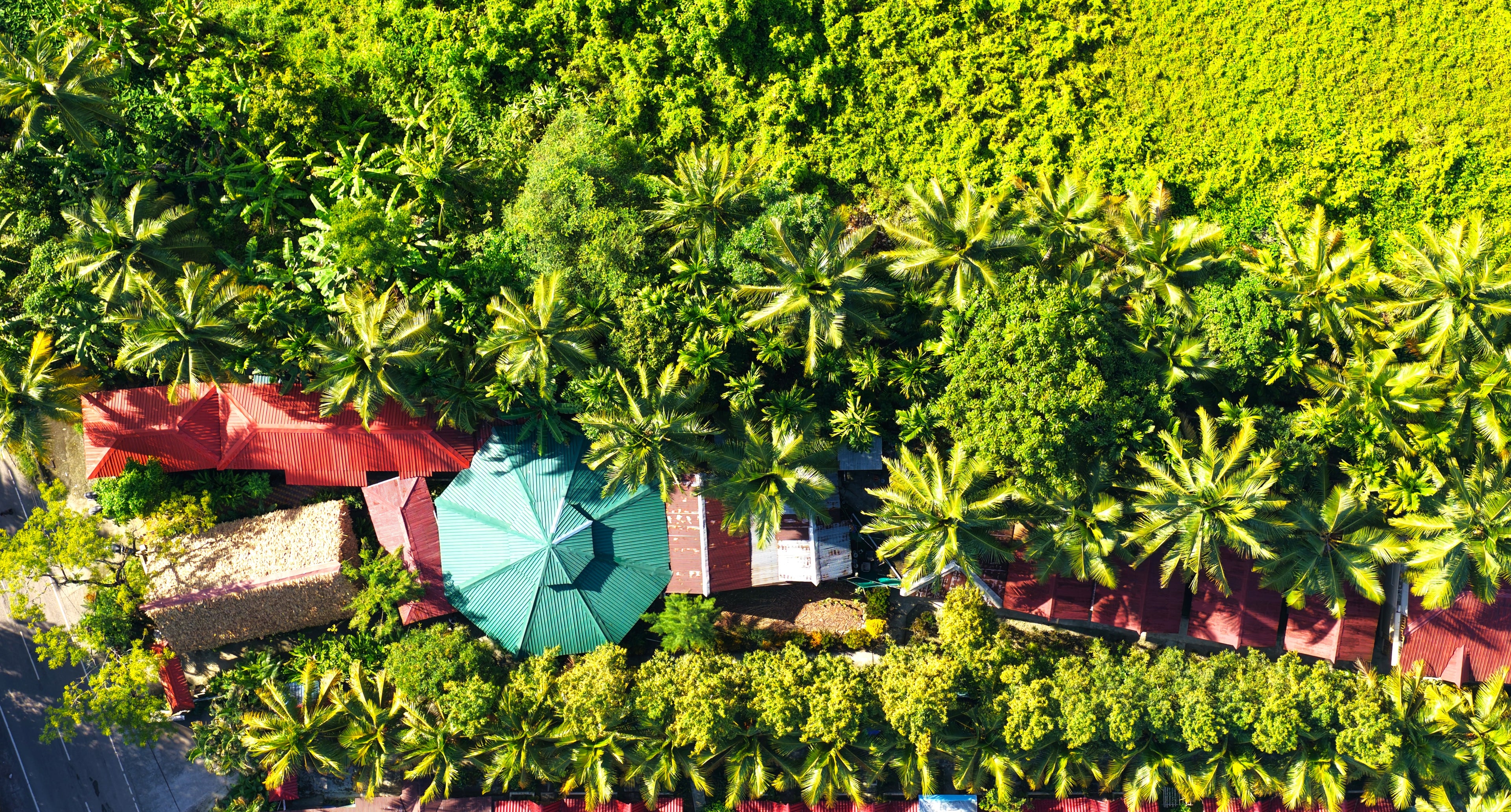 Return to Wellbeing — 6D /5N Yoga Holiday in Havelock : 29 March 26 to 3 April 26