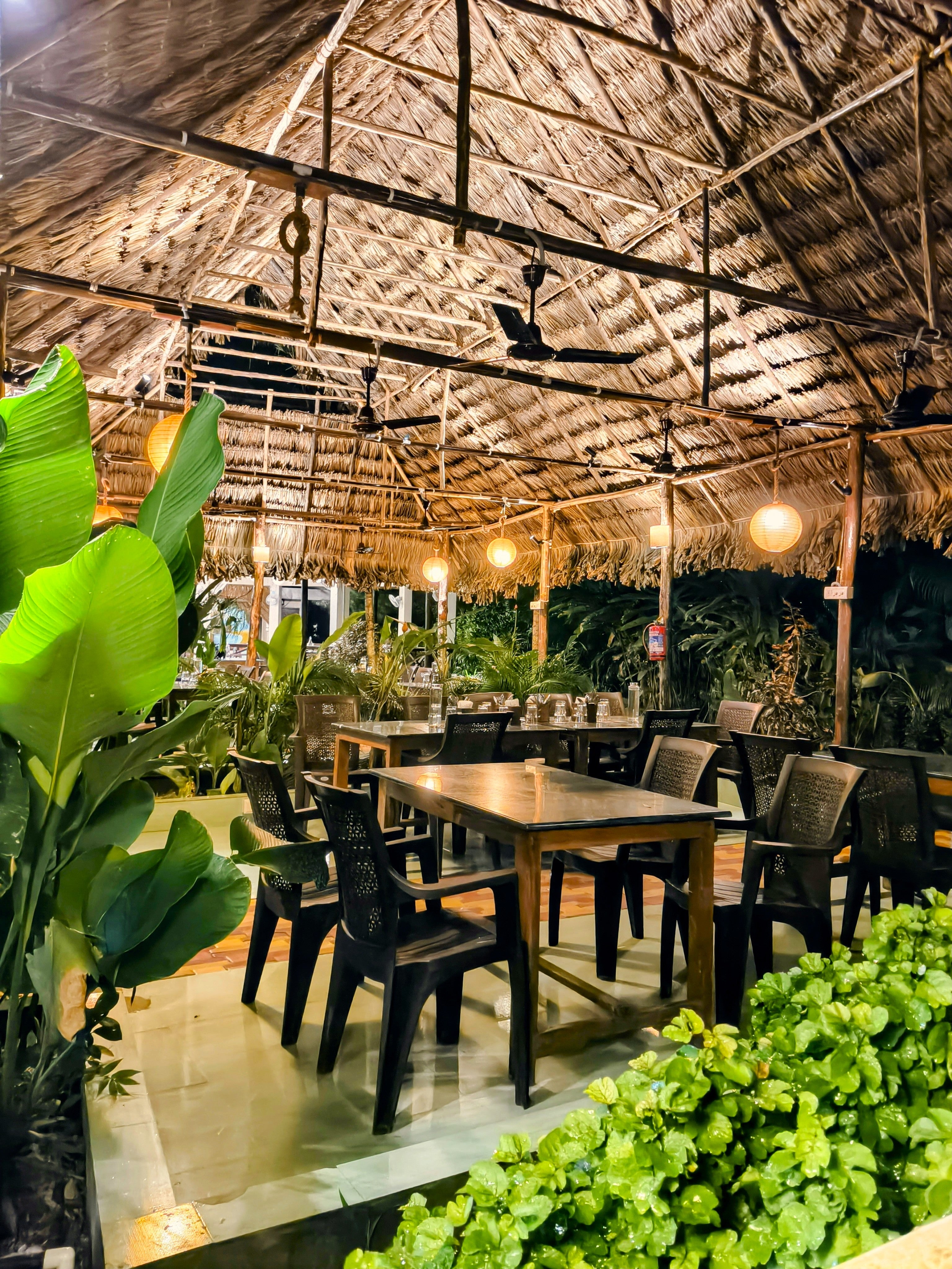 Return to Wellbeing — 6D /5N Yoga Holiday in Havelock : 29 March 26 to 3 April 26